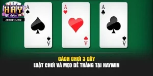 Cách Chơi 3 Cây – Luật Chơi Và Mẹo Dễ Thắng Tại Haywin