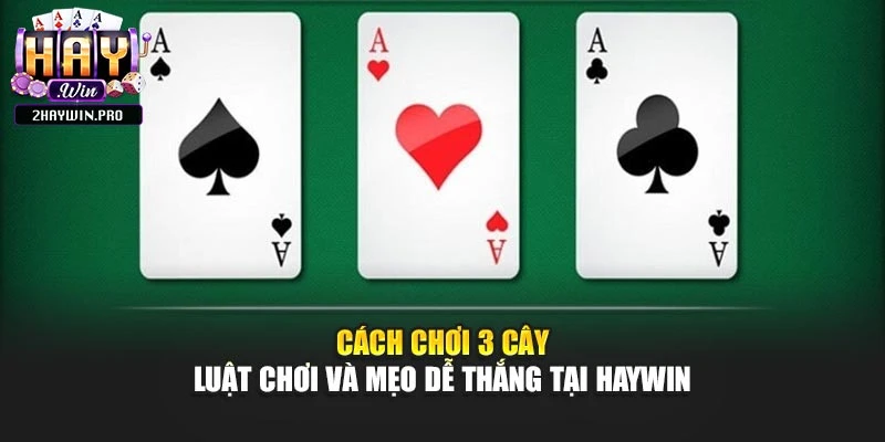 Cách Chơi 3 Cây – Luật Chơi Và Mẹo Dễ Thắng Tại Haywin