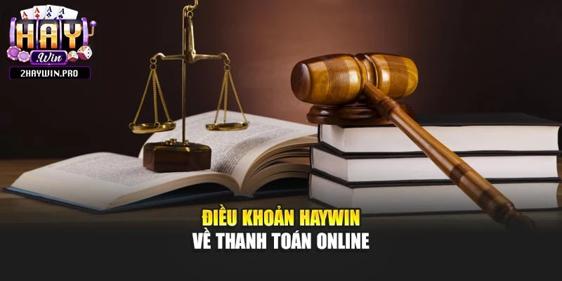 Điều khoản Haywin về thanh toán online