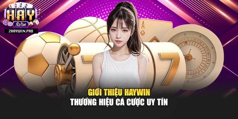 Giới thiệu Haywin - thương hiệu cá cược uy tín