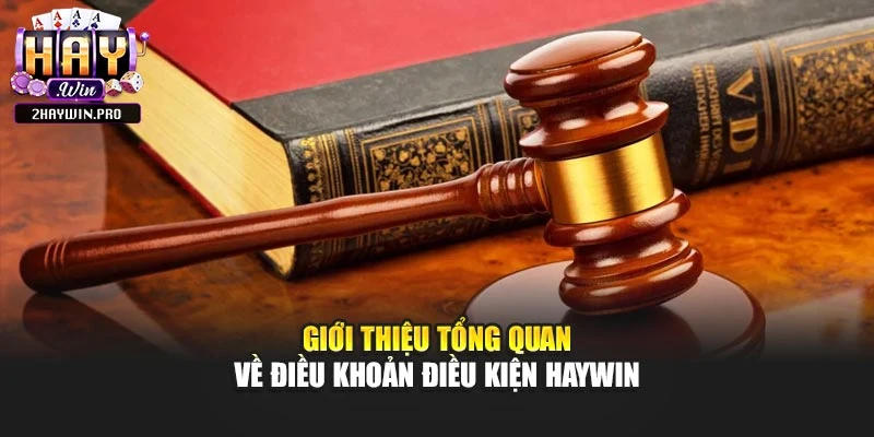 Giới thiệu tổng quan về điều khoản điều kiện Haywin