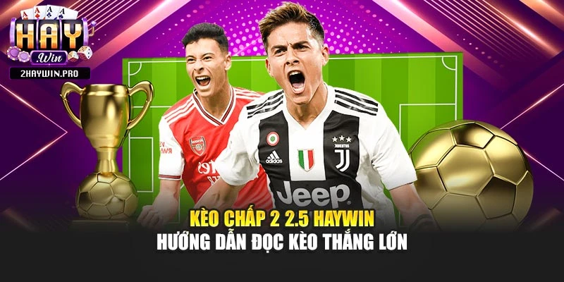 Kèo Chấp 2 2.5 Haywin – Hướng Dẫn Đọc Kèo Thắng Lớn