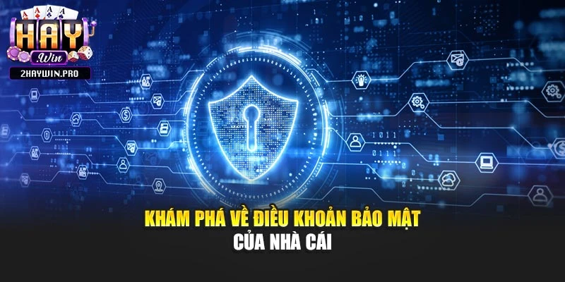 Khám phá về điều khoản bảo mật của nhà cái