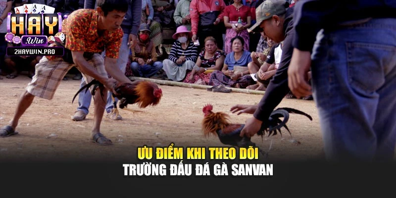 Ưu điểm khi theo dõi trường đấu đá gà Sanvan