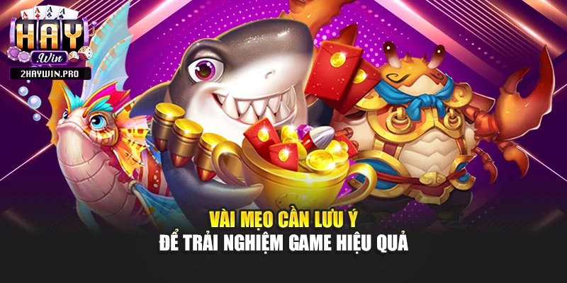  Vài mẹo cần lưu ý để trải nghiệm game hiệu quả